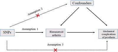 The Causal Relationship Between Rheumatoid Arthritis and Mechanical Complications of Prosthesis After Arthroplasty: A Two-Sample Mendelian Randomization Study